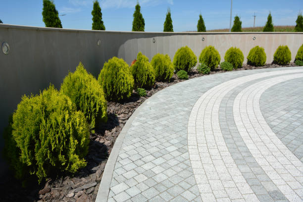 Reasons to Select Us for Your Driveway Paving Requirements in Maysville, NC